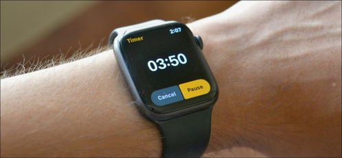 Apple Watch上如何设置自定义计时器 一步步详细指南